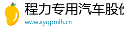 程力专用汽车股份有限公司 程力专用汽车股份有限公司